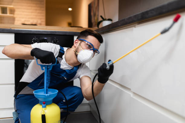 Best Flea Control Services  in Stevenson, AL