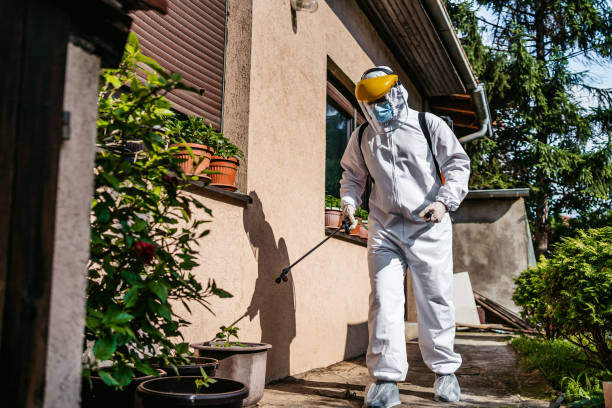 Wasp Removal Services in Stevenson, AL