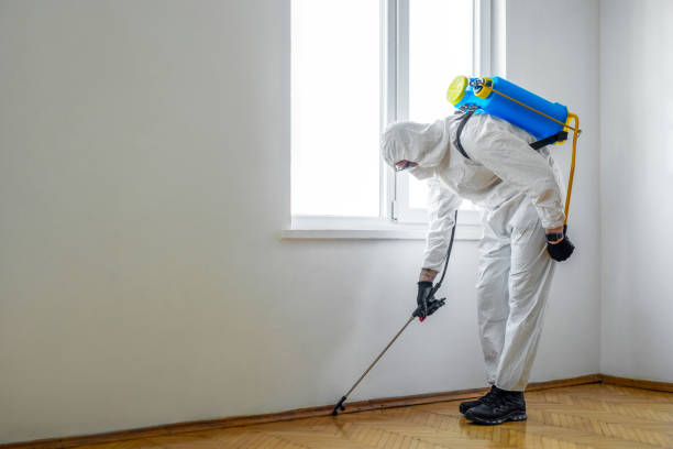 Best Wasp Removal Services  in Stevenson, AL
