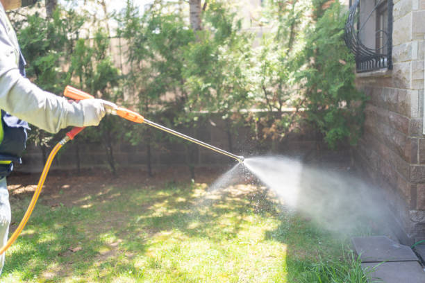 Best Residential Pest Control  in Stevenson, AL