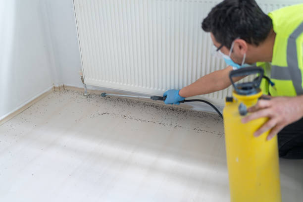 Best Affordable Pest Control Services  in Stevenson, AL