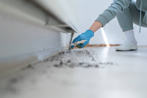 Best Cockroach Control Services  in Stevenson, AL