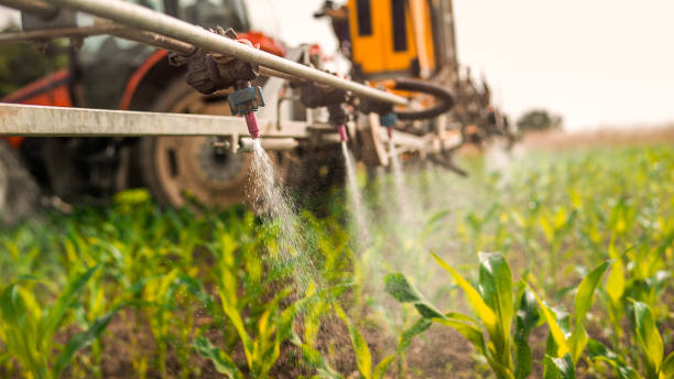 Pest Control Cost in Stevenson, AL