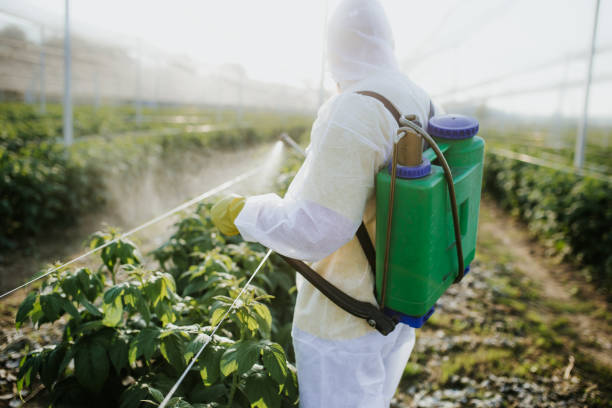 Best Emergency Pest Control  in Stevenson, AL
